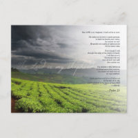 Psalm 23 Der Herr ist mein Hirte - Bibel