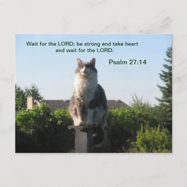 Psalm 27:14 und Crosseyed Cat Postkarte (Vorderseite)