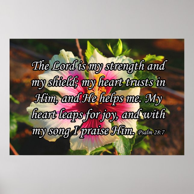 Psalm 28:7, Hibiskus Poster (Vorne)