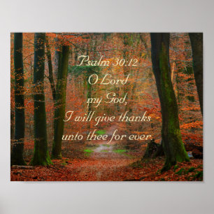 Psalm 30:12 Danke an das Lord Poster