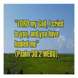 Psalm 30:2 WEBU Poster