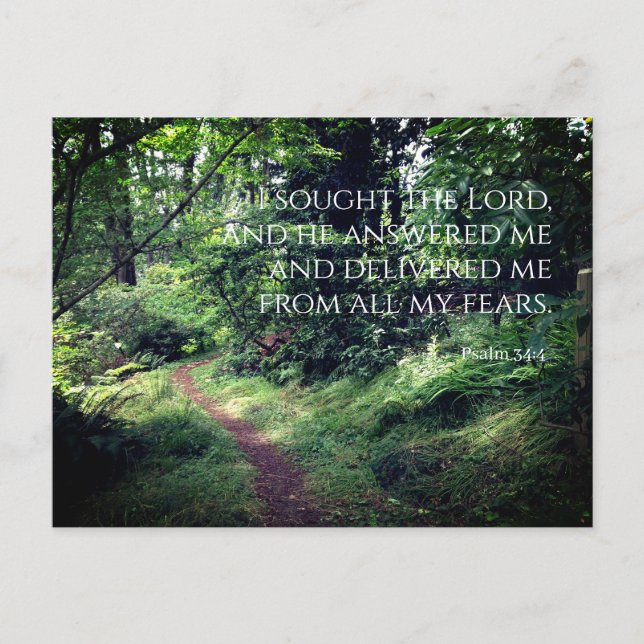 Psalm 34:4 Kalmare Forststraße Postkarte (Vorderseite)