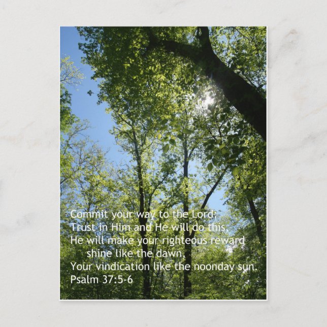 Psalm 37:5-6 postkarte (Vorderseite)