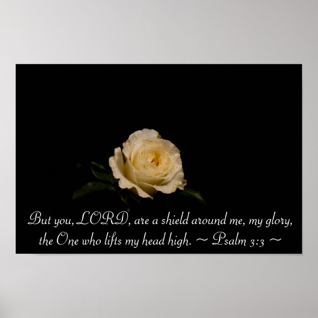 Psalm 3:3 poster (Vorne)