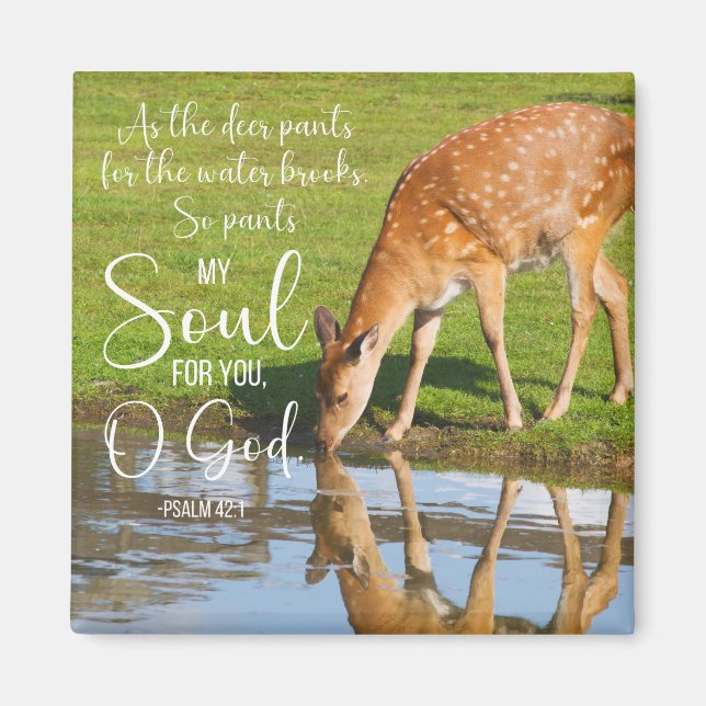 Psalm 42:1 Als Hirschpflanzen für die Wasserblase Magnet (Vorne)