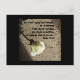 Psalm 59:16 Weiße Rose Postkarte