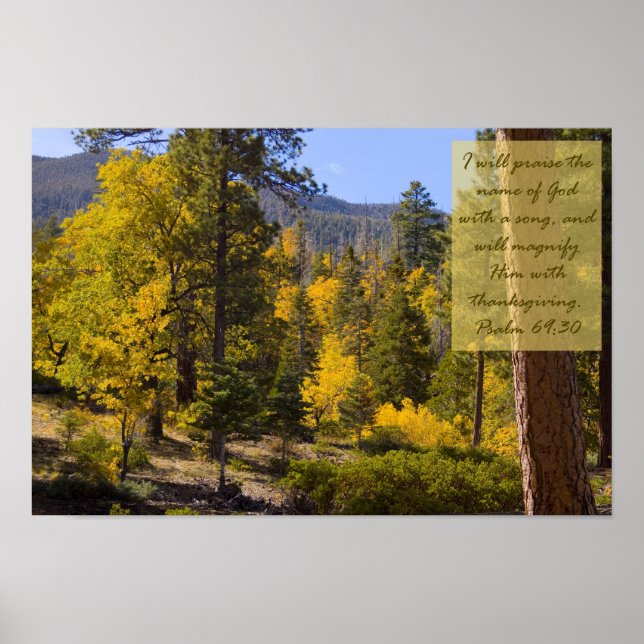 Psalm 69:30 Poster (Vorne)