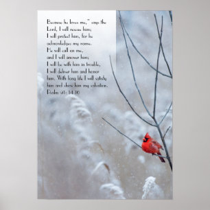 Psalm 91, christliches Plakat mit einem roten