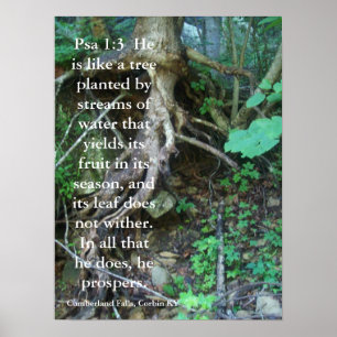 Psalmen 1:3 poster