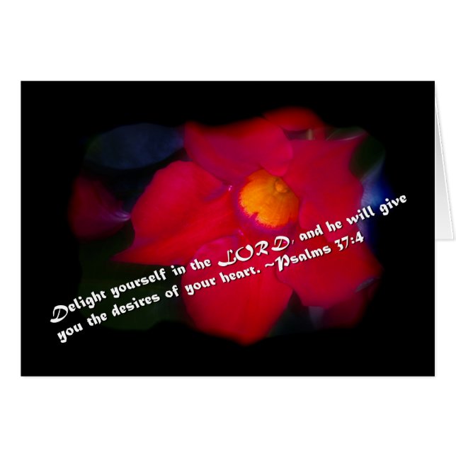 Psalmen 37:4 auf schwarz (Vorderseite (Horizontal))