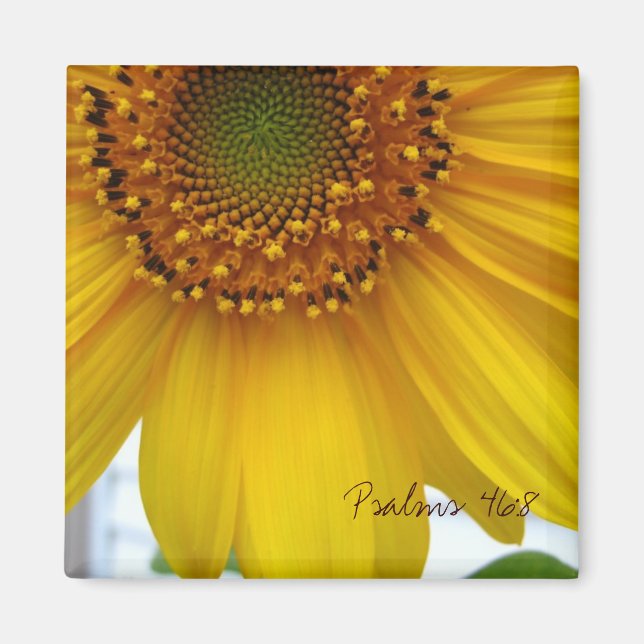 Psalmen 46:8 magnet (Vorne)