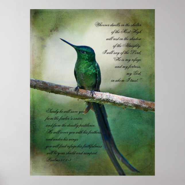 Psalmen 91:1-4 Inspirationspopster Poster (Vorne)