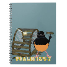 Psalmen - Weißer Rumped Shama