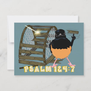 Psalmen - Weißer Rumped Shama Postkarte