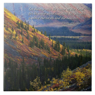 Psaume 148:13 Carreaux