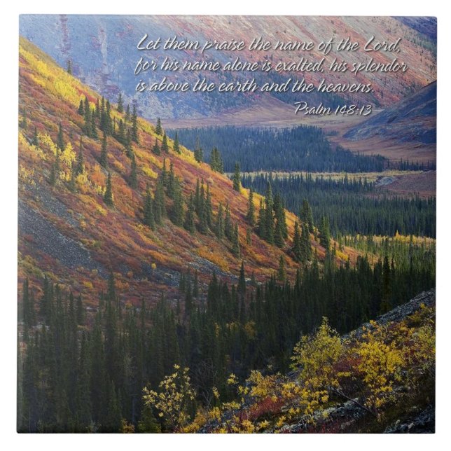 Psaume 148:13 Carreaux (Devant)