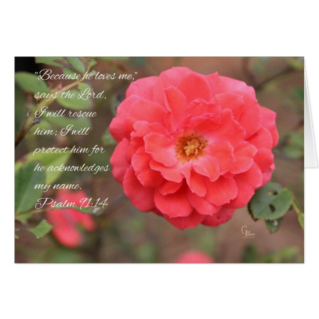 Psaume 91:14 Peachy Rose Carte (Devant horizontal)