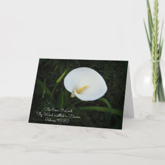 Pslams 119 Calla Lilly Grußkarte Karte