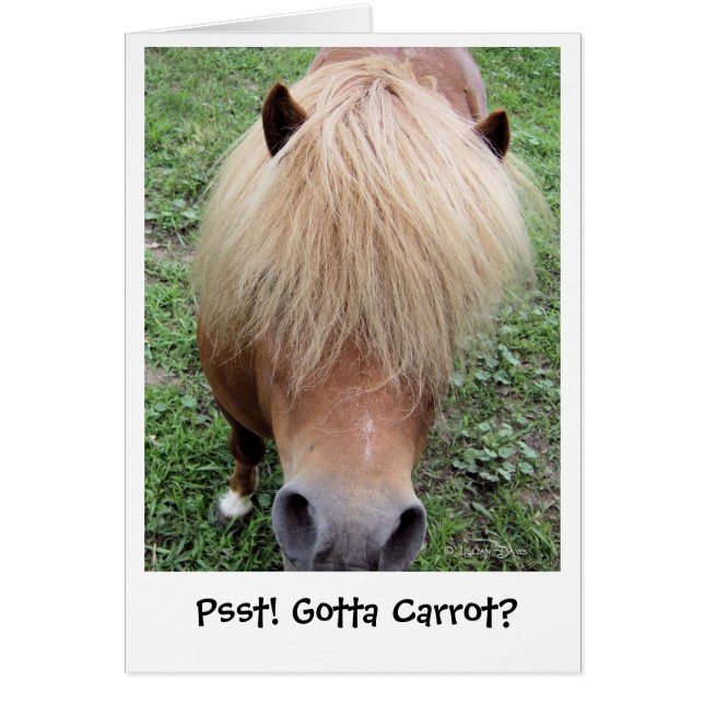 Psst! Got zur Karotte? (Vorne)