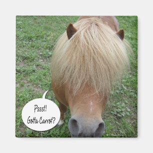 psst! Got zur Karotte? Magnet