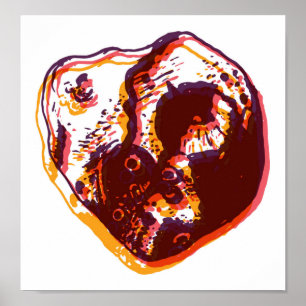 Psyche Design 1 Poster