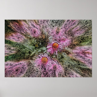 Psychedelic Susans Poster