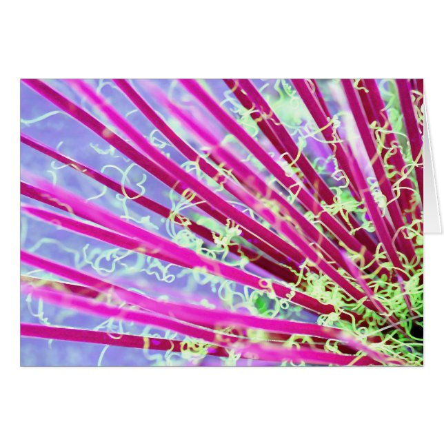 Psychedelic Yucca Abstrakt Red (Vorderseite (Horizontal))