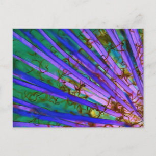 Psychedelic Yucca Inverted Postkarte