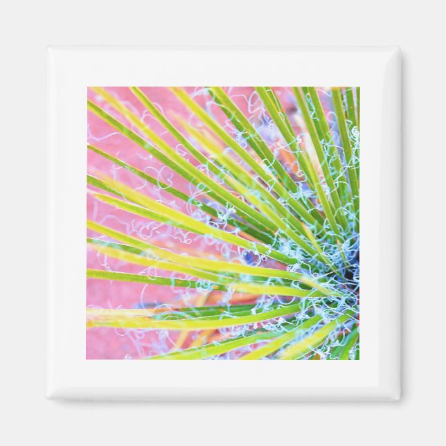 Psychedelic Yucca Magnet (Vorne)