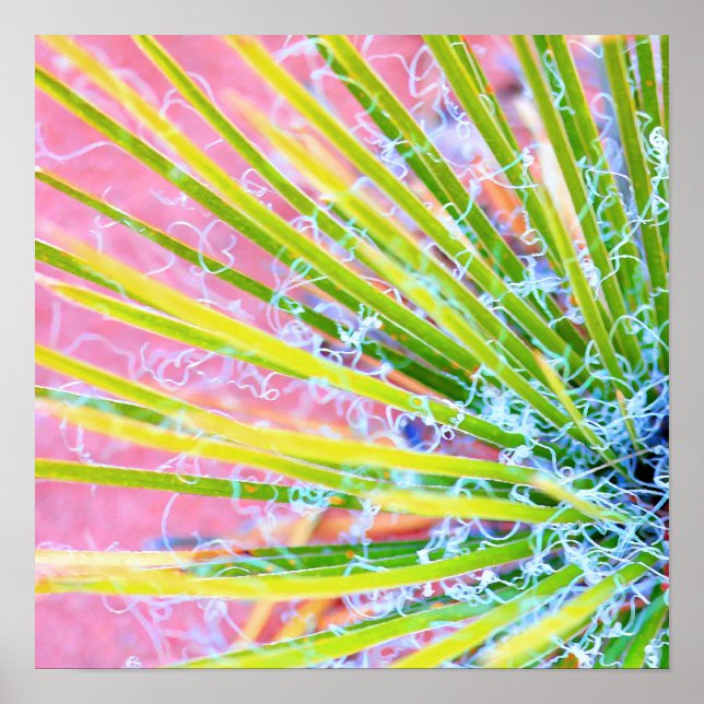 Psychedelic Yucca Poster (Vorne)