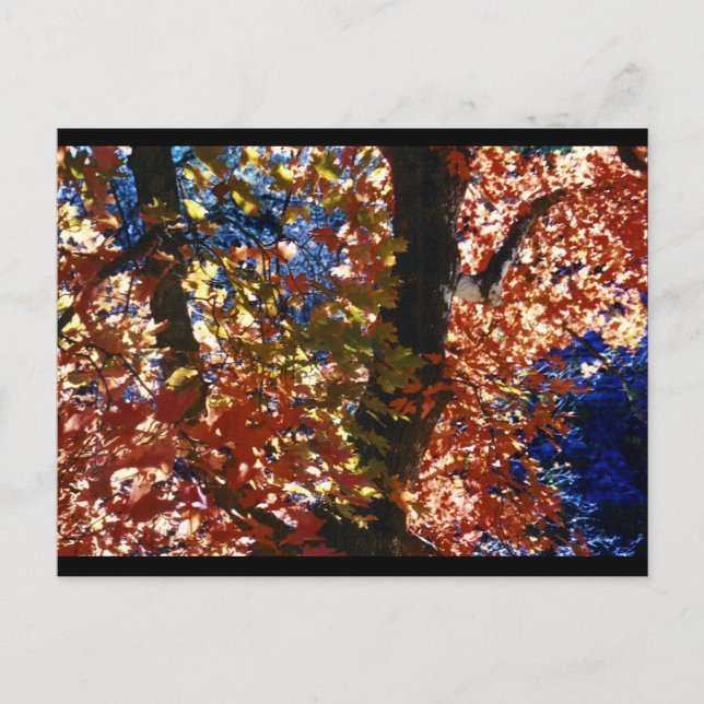 Psychedelische Blätter Postkarte (Vorderseite)