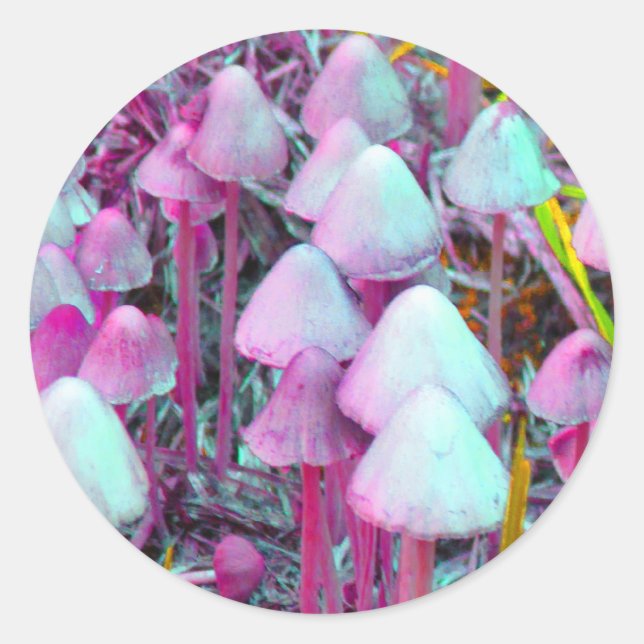 Psychedelische Pilze Runder Aufkleber (Vorderseite)