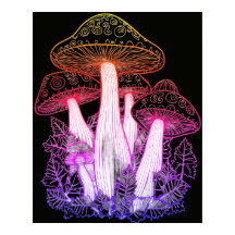 Psychedelische Pilze Schwarzer Hintergrund an eine