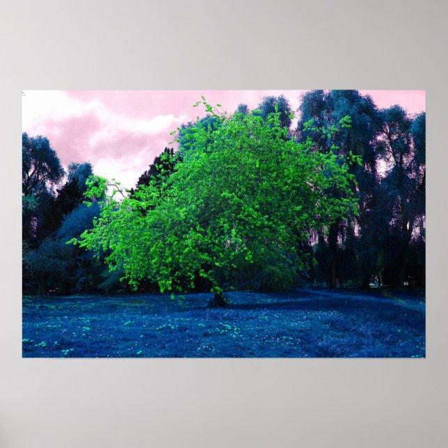 Psychedelischer Baum Poster (Vorne)