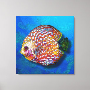 Psychedelischer, farbiger Exotic Discus Fisch Zeic Leinwanddruck