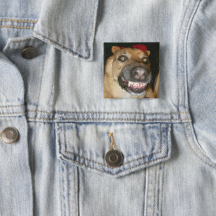 Psycho German Shepherd Dog Beängstigend Evil Button