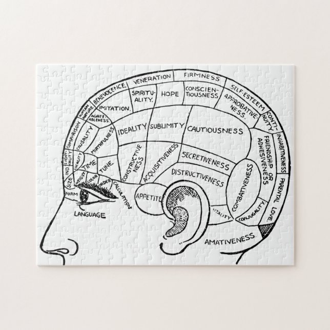 Psychologie Vintage Phrenologie Psychiatrie (Horizontal)