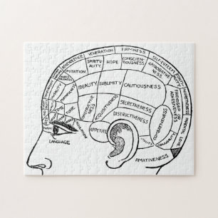 Psychologie Vintage Phrenologie Psychiatrie Gehirn
