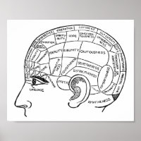 Psychologie Vintage Phrenologie Psychiatrie