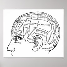 Psychologie Vintage Phrenologie Psychiatrie