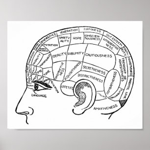 Psychologie Vintage Phrenologie Psychiatrie Poster