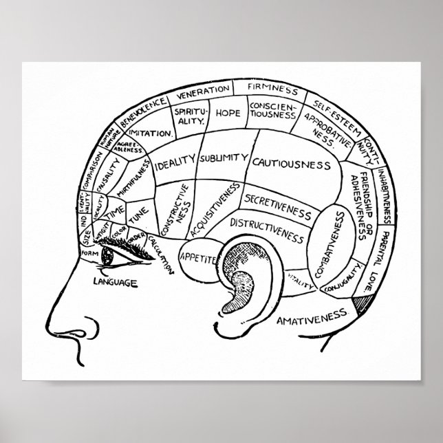 Psychologie Vintage Phrenologie Psychiatrie Poster (Vorne)