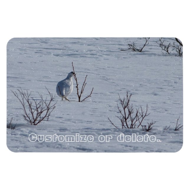 Ptarmigan-Snacking; individuell einstellbar Magnet (Horizontal)
