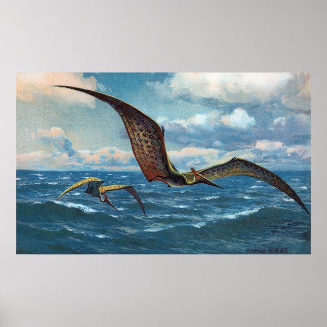 Pteranodon Antiquitdruck Poster (Vorne)