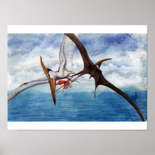 Pteranodon Druck Poster
