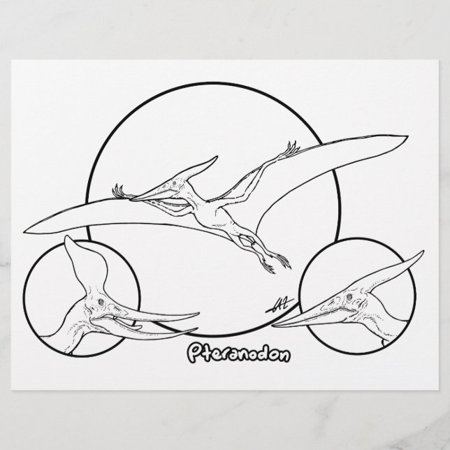 Pteranodon - Farbseite. (Vorderseite)