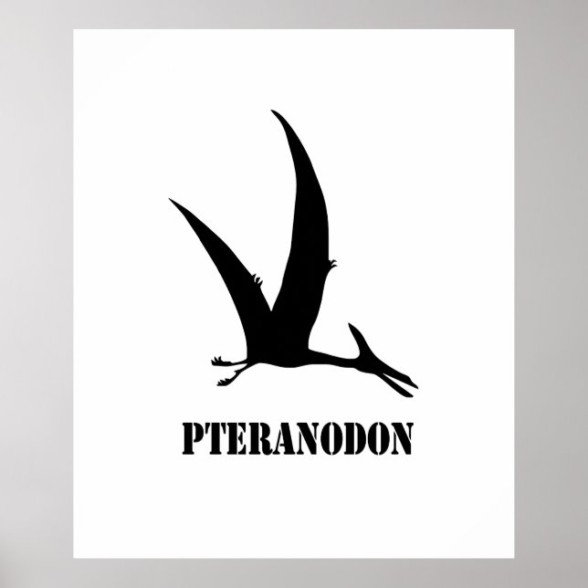 Pteranodon Poster (Vorne)