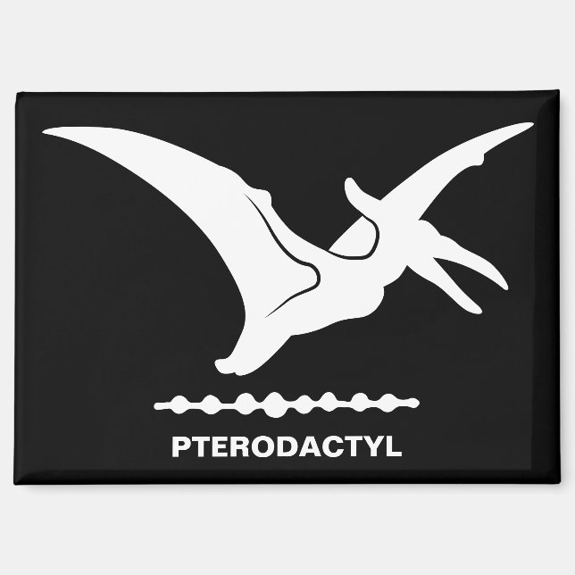 Pterodactyl Dinosaur Silhouette Magnet (Vorderseite)