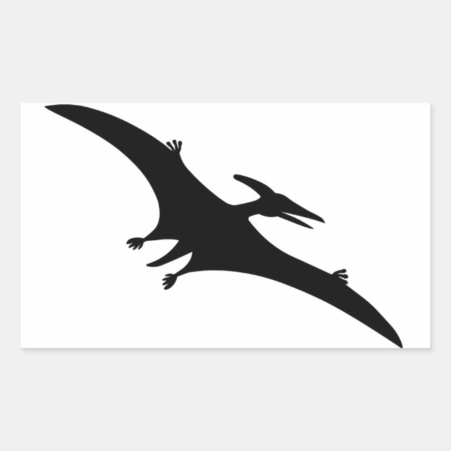 Pterodactyl Dinosaurier Rechteckiger Aufkleber (Vorderseite)