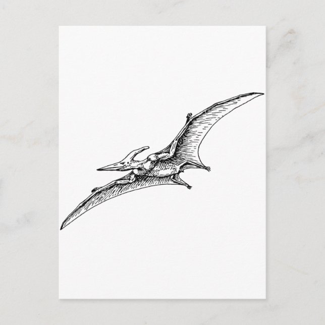 Pterodactyl Postkarte (Vorderseite)